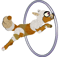 Daisychain/Calluna’s You Got Moxie — “Moxie”