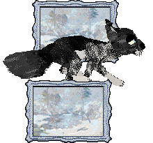 Calluna's Sixth Sense — “Clairvoyance”