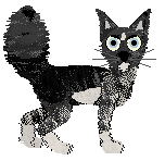 Calluna's Sixth Sense — “Clairvoyance”