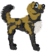 Spellbound/Poppyhill's Far From The Tree — “Jonagold”