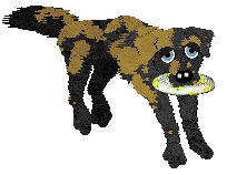 Spellbound/Poppyhill's Far From The Tree — “Jonagold”