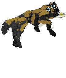 Spellbound/Poppyhill's Far From The Tree — “Jonagold”