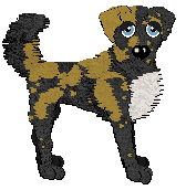 Profile image of Spellbound/Poppyhill's Far From The Tree