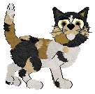 Calluna’s Ecstasy of Gold — “Cowboy”