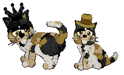 Profile image of Calluna’s Ecstasy of Gold