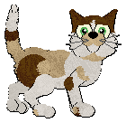 Profile image of Calluna's Master Chocolatier