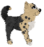 Witz/Poppyhill’s Bottled in Bond — “Malt”