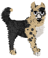 Witz/Poppyhill’s Bottled in Bond — “Malt”