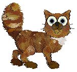 Cirrutopia's Top Shelf — “Cachaça”