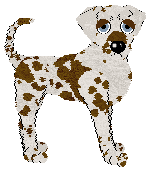 Opolire Maximum Impact at Ferality — “Max”