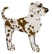 Opolire Maximum Impact at Ferality — “Max”