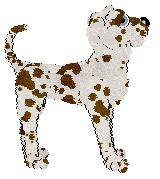 Opolire Maximum Impact at Ferality — “Max”