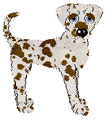 Opolire Maximum Impact at Ferality — “Max”