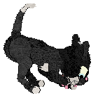 Calluna's Nor The Salted Wind — “Sockeye”