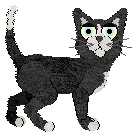 Calluna's Nor The Salted Wind — “Sockeye”