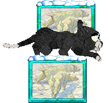 Calluna's Nor The Salted Wind — “Sockeye”