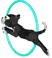 Calluna's Nor The Salted Wind — “Sockeye”