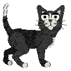 Calluna's Nor The Salted Wind — “Sockeye”