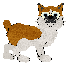 Profile image of Calluna's Orange Tie Affair