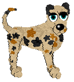 Profile image of Forestwalk/Mockingbird's Digital Driftwood