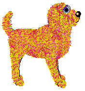 NSP/Cloudkiss Just My Grain — “Kasha”