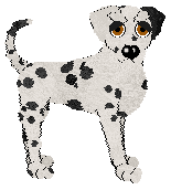 Glosoli's Butternut Squash — “Gourd”