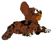 Profile image of KellBell/Mockingbird's Counterleek