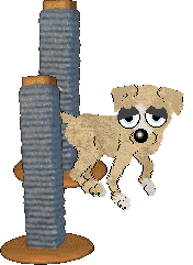 NSP/Mockingbird's Pagrus Major — “Seabream”