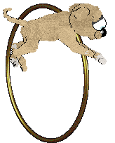 NSP/Mockingbird's Pagrus Major — “Seabream”