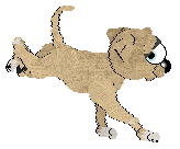 NSP/Mockingbird's Pagrus Major — “Seabream”