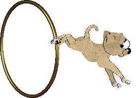 Profile image of NSP/Mockingbird's Pagrus Major