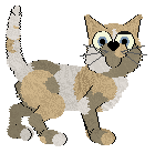 Amenity's All Work No Play — “Frida”