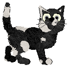 Chau's Wild Heart at Cirrutopia — “Mustang”