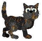 Cirrutopia's Twisted Tea — “Tangy”