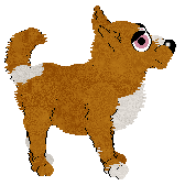 Sungraze's Fall In Love at Wild Road — “Casno”