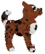 Sungraze's Confession at Wild Road — “Cloverfield”