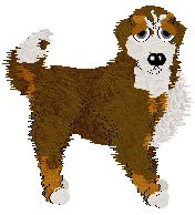 Mockingbird's Whiskey Glasses at Wild Road — “Decan”