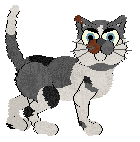 Perfume's Pour Me A Drink at Wild Road — “Mishjo”