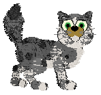 Perfume's Anything Goes at Wild Road — “Terenli”