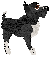 EC's Daylight Dancer — “Equinox”