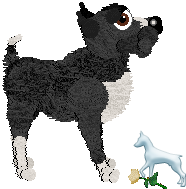 Profile image of EC's Daylight Dancer