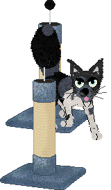 Calluna's Glass Princess — “Nyssa”