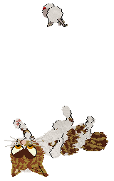 Aniseed's Amber Spyglass at Calluna — “Pangaion”