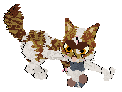 Aniseed's Amber Spyglass at Calluna — “Pangaion”