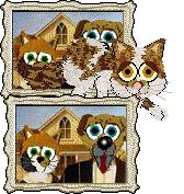 Aniseed's Amber Spyglass at Calluna — “Pangaion”