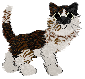 Ferality's Exhibit A: Projection at Amphigory — “Jet”