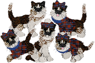 Profile image of Ferality's Exhibit A: Projection at Amphigory