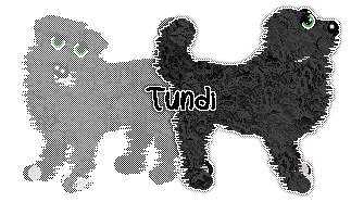 Profile image of TW/APK's Crazy Mad Props