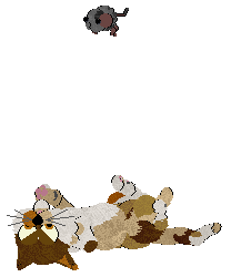 LHKC/Calluna's Sonoran Songbird — “Sonora”