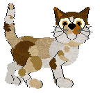 LHKC/Calluna's Sonoran Songbird — “Sonora”